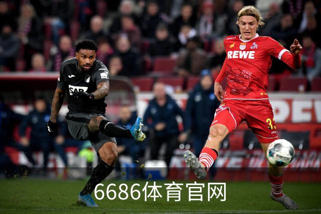 6686体育官网公司简介图片
